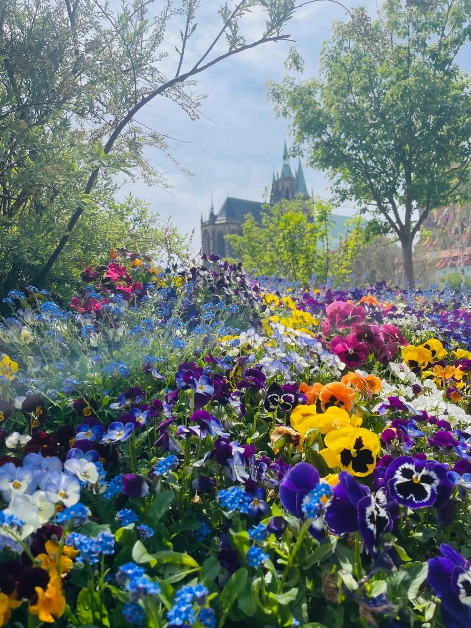 "Erfurt Geniessen" Apartment Bagian luar foto